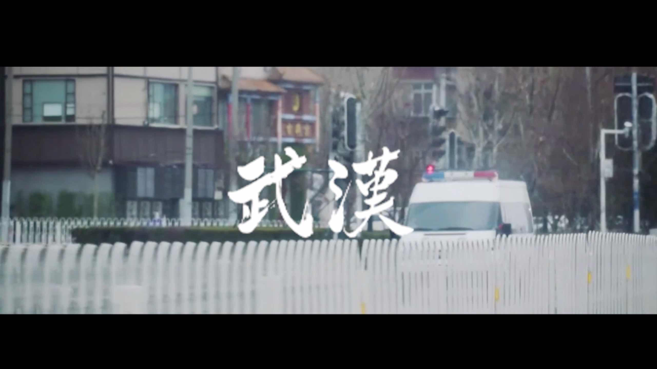 《九九八十一x武汉战疫》南山无双·多难兴邦·共抗肺炎